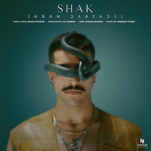 Cover artwork for Shak by Ehsan Daryadel